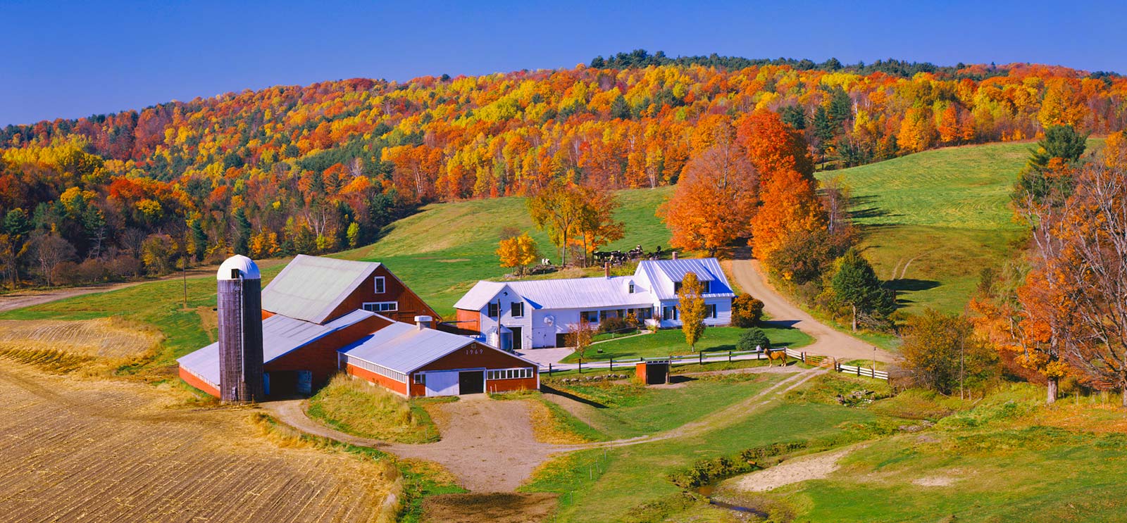 Farm setting with trees and mountains