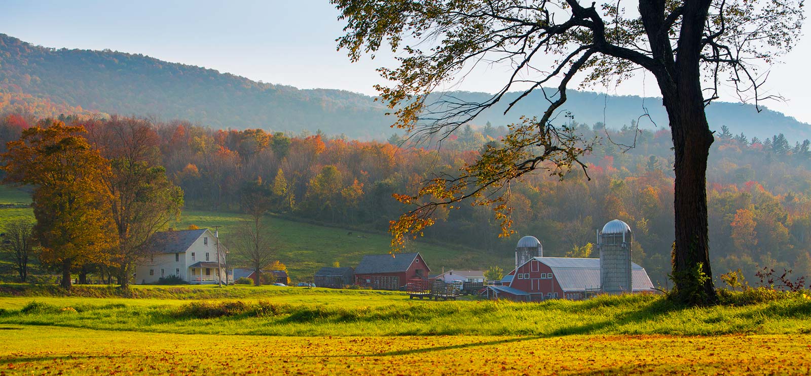 Farm setting with trees and mountains