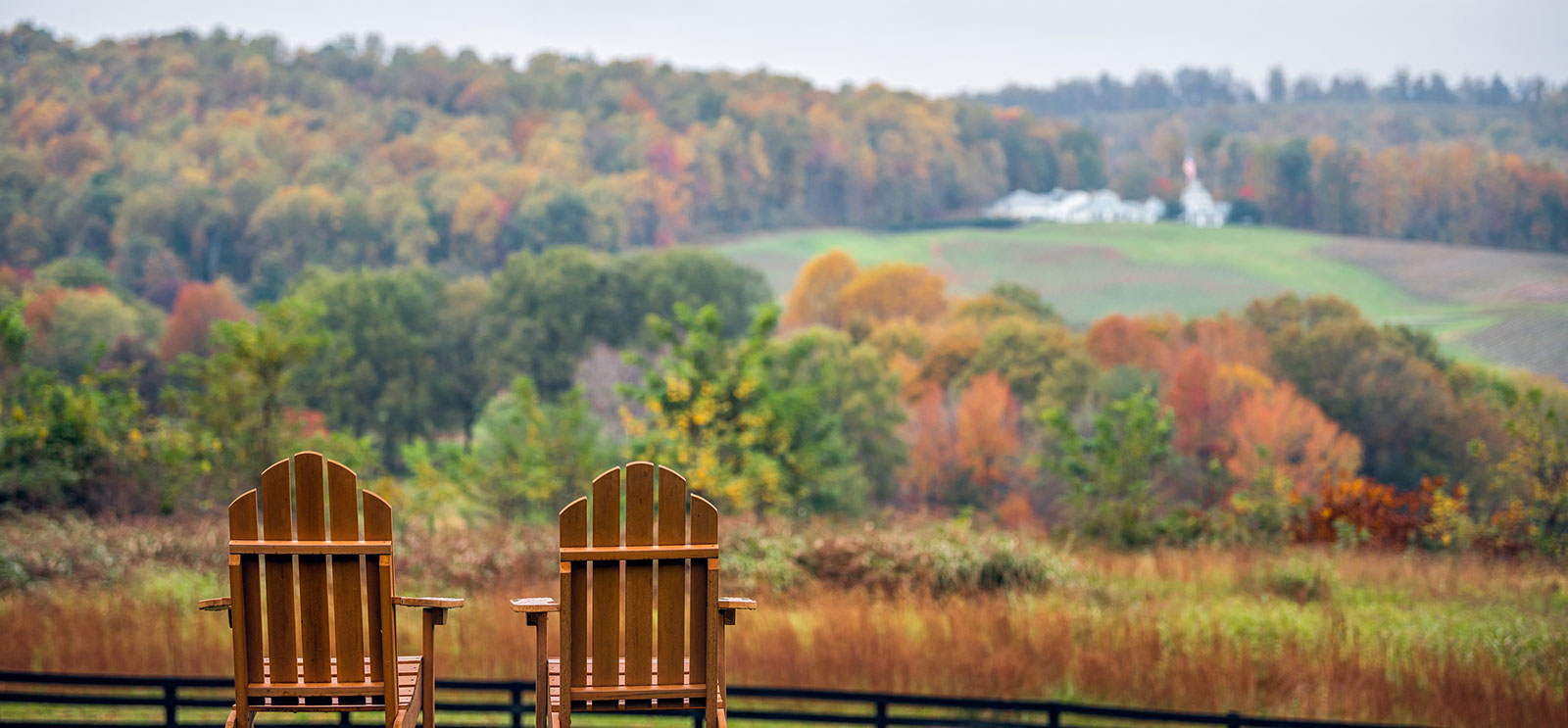 Two chairs sitting on farm