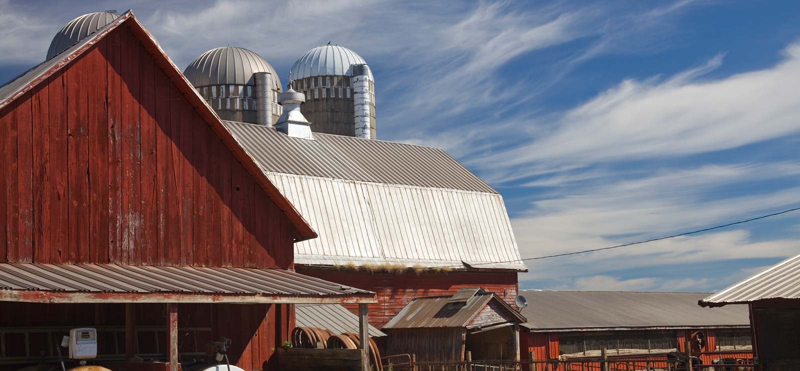 Dairy farm